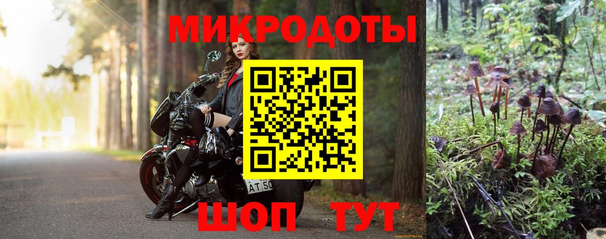 Томск  Галлюциногенные грибы мицелий  Вход с VPN 