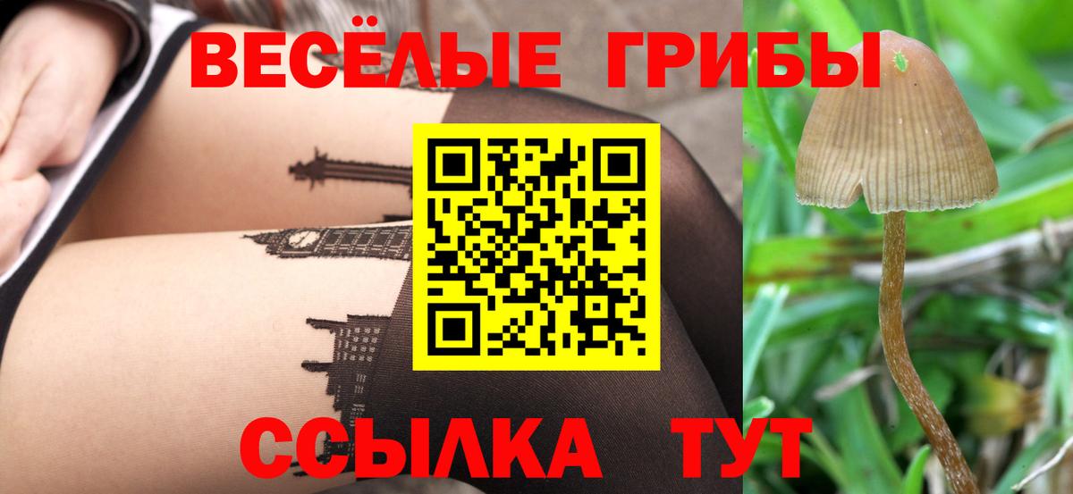 Псилоцибиновые грибы Magic Shrooms Томск